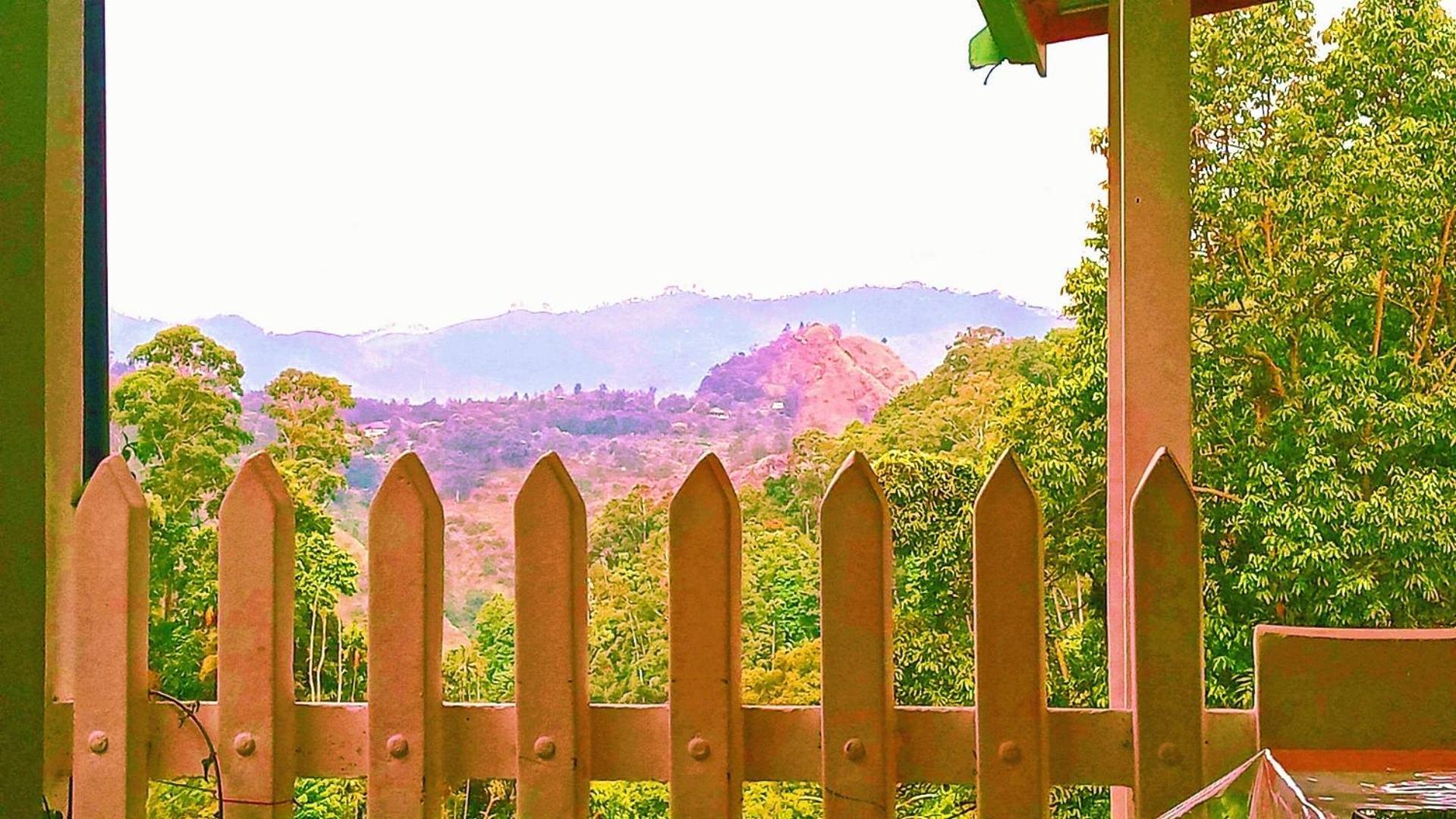 New Farmers Paradise エッラ 部屋 写真